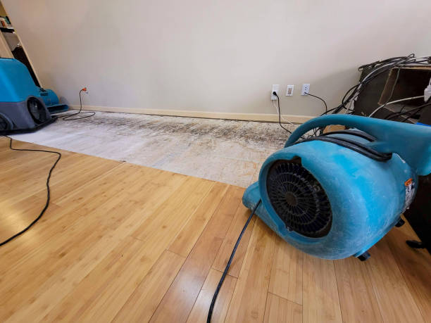 Professional Sewage Cleanup technician working in Altamont, TN